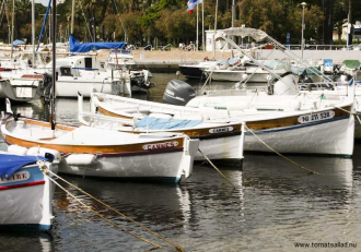 Små fiskebåtar i Cannes