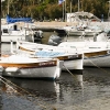 Små fiskebåtar i Cannes
