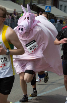 den rosa grisen i Göteborgsvarvet