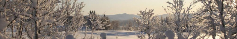 vinterlandskap