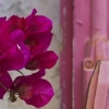 en header helt i rosa