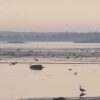 Strand i kvällsljus