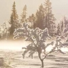 snolandskap-3