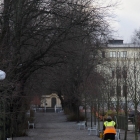 hornsberg-6035