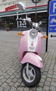 rosa-vespa-i-gbg-7