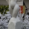 vit staty bland vita julgranar