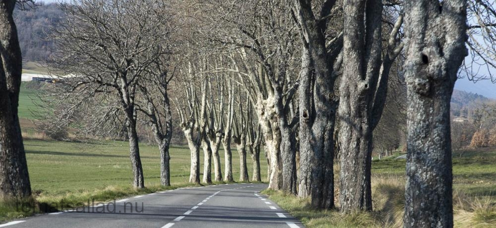 provence-luberon-0022