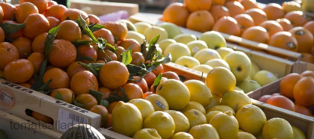 provence-luberon-9980