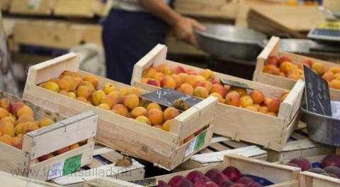 lådor med aprikoser på marknaden i Aix en Provence