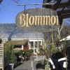 Blommor