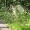 ljusglitter-2