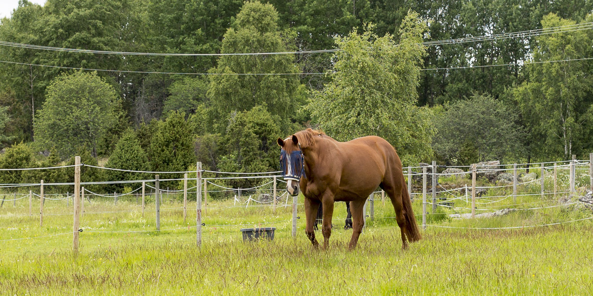 roslagsleden-t-ip-till-angarn-6977