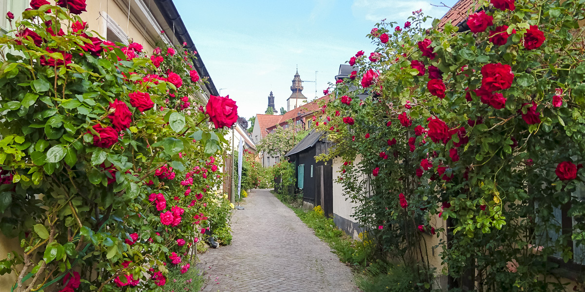 visby-almedalen-28