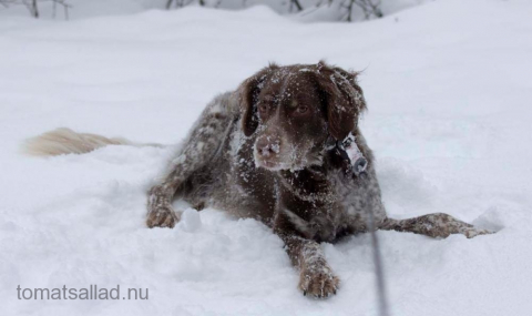 Snö är fint