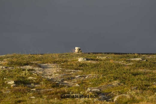 solen bryter fram över Flatruet