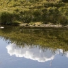 moln speglade i vatten