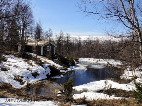 litet fjällhus