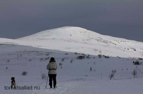 vitt fjäll med vit skidåkare