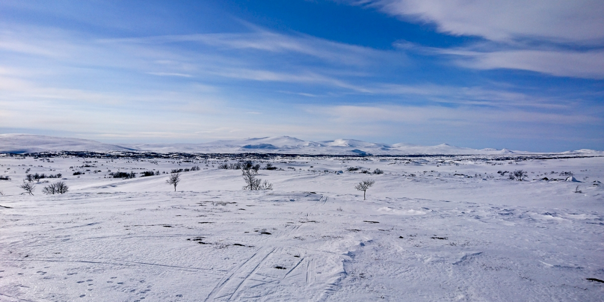 fjallnastanndalen-21