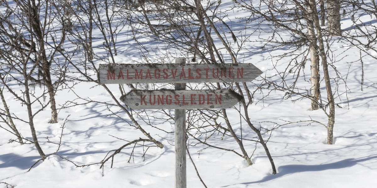 fjallnastanndalen-3026