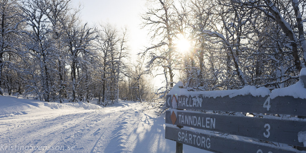 tanndalen-2109