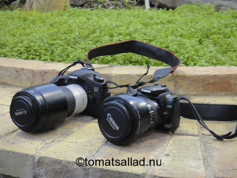 Canon 400D och 60D