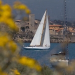 Voiles d\'Antibes