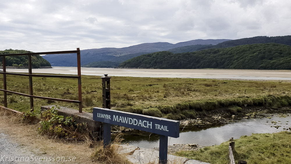 mawddach-trail-08