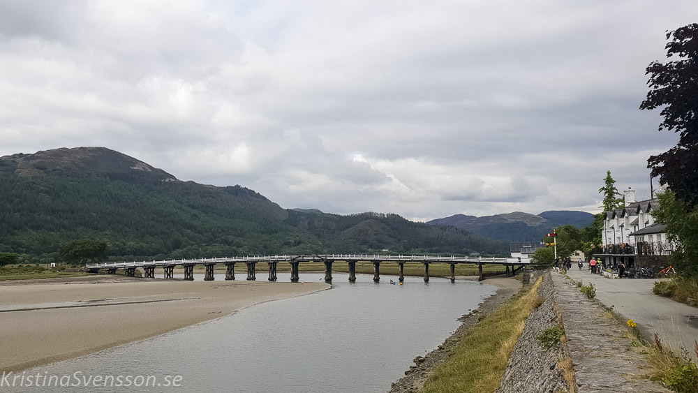 mawddach-trail-30