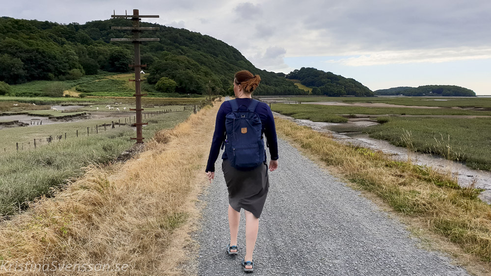 mawddach-trail-45-2