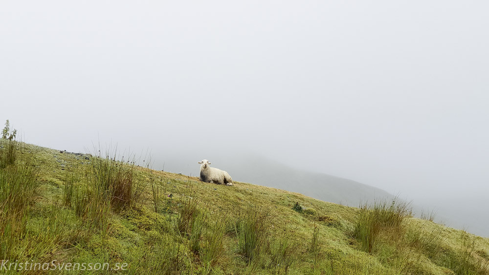 snowdon-46-2