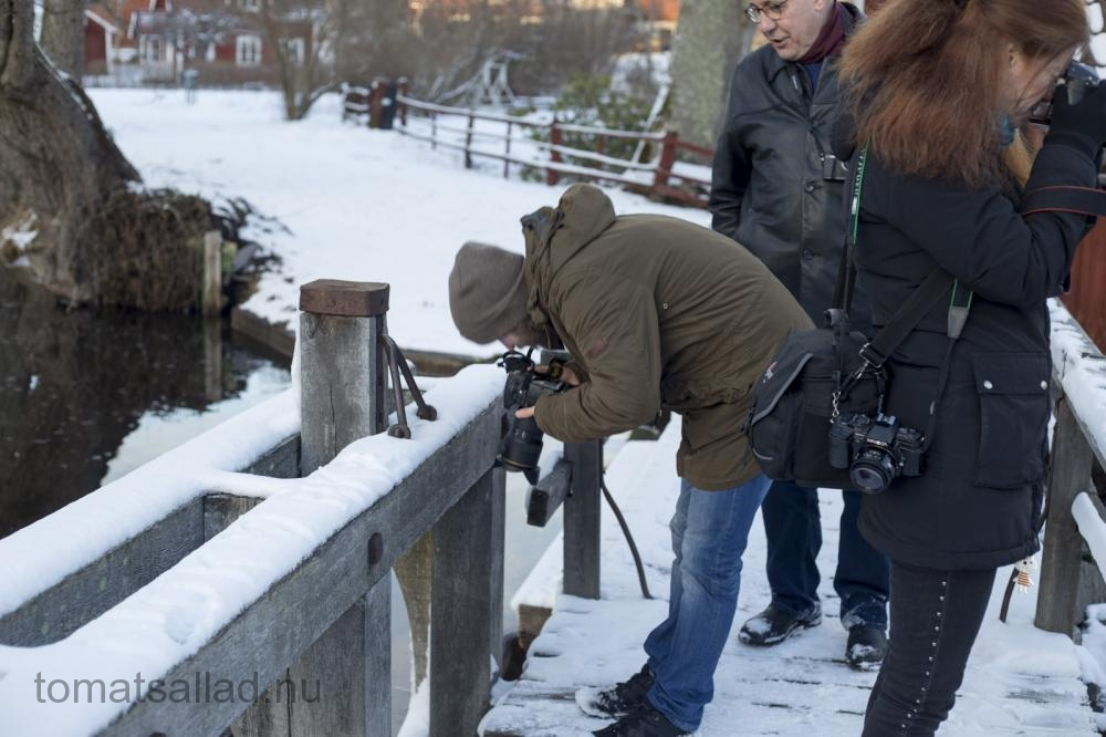 fotografer-0314