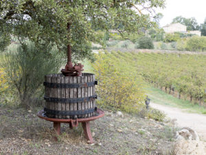Vingårdsbesök i Provence Vingårdsbesök i Provence