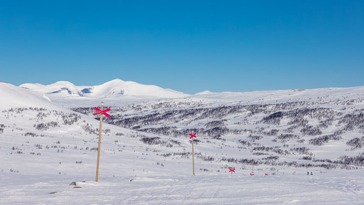 Ledkryss i fjällen med Helagsmassivet i bakgrunden.