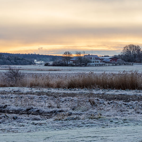 Jag hade Mariebergs gårdsbutik i Fjärås bakom ryggen när jag tog denna bild. 